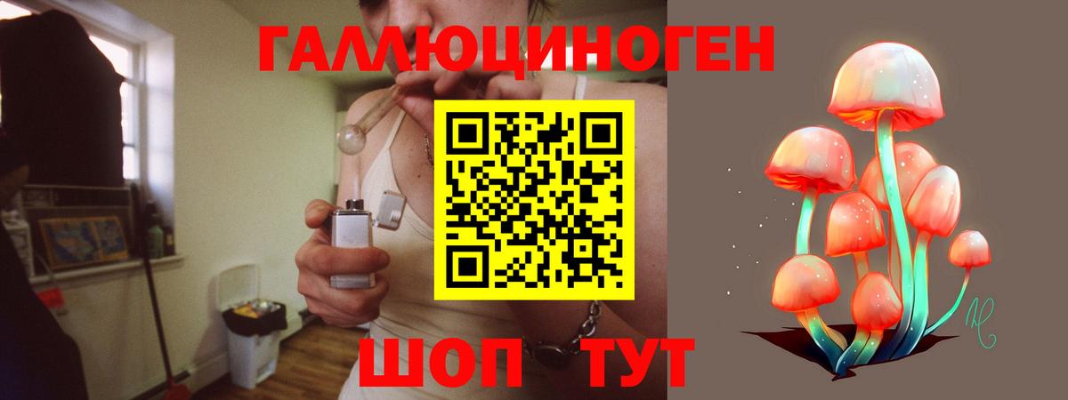 Новокуйбышевск  Галлюциногенные грибы Magic Shrooms  Вход с VPN 